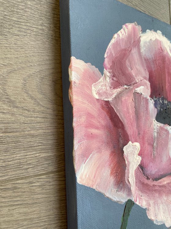 Pink poppy original flower painting on canvas