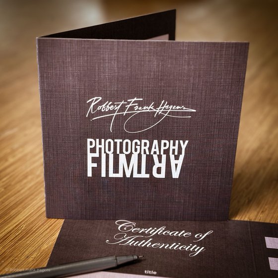 Mechanica – The Poetry of Steel - VI