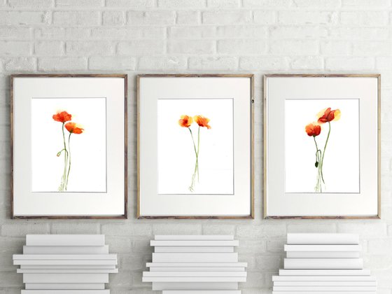 Set of 3 Poppies Original Paintings