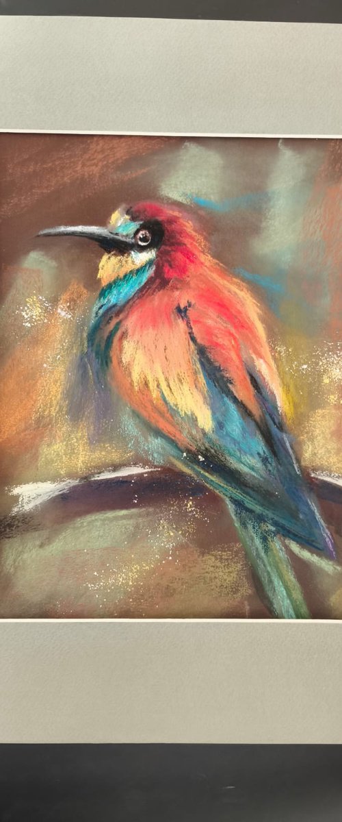 Bee Eater by Olga Tchefranov (Shefranov)