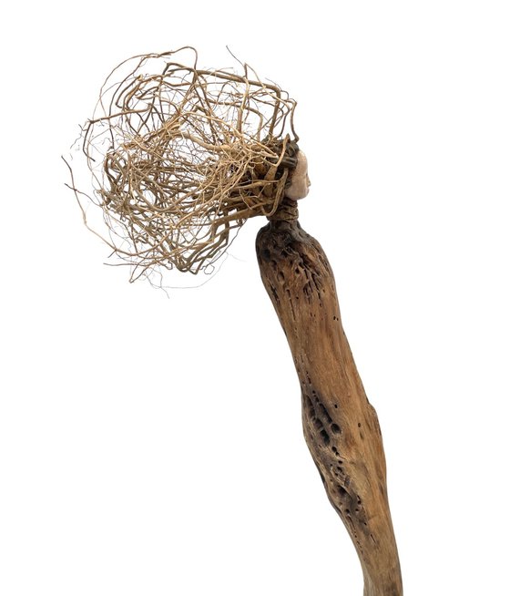 Dryad, Ostréïdes series