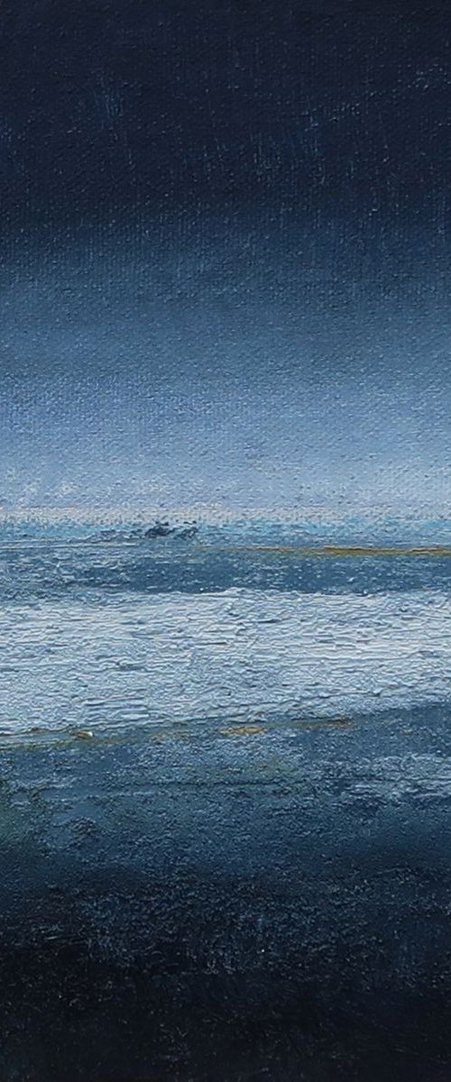Floe 4; Disappearing World by Howard Sills