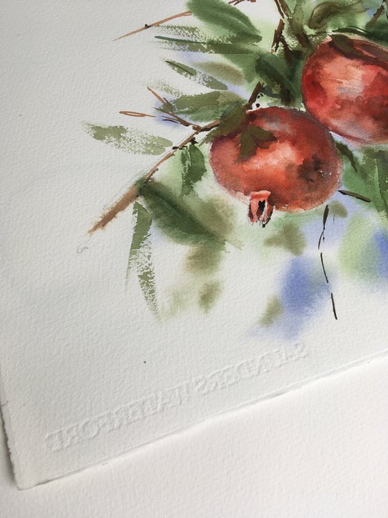 Pomegranate, 28x38 sm, watercolor, red, stilllife, gift, medium size