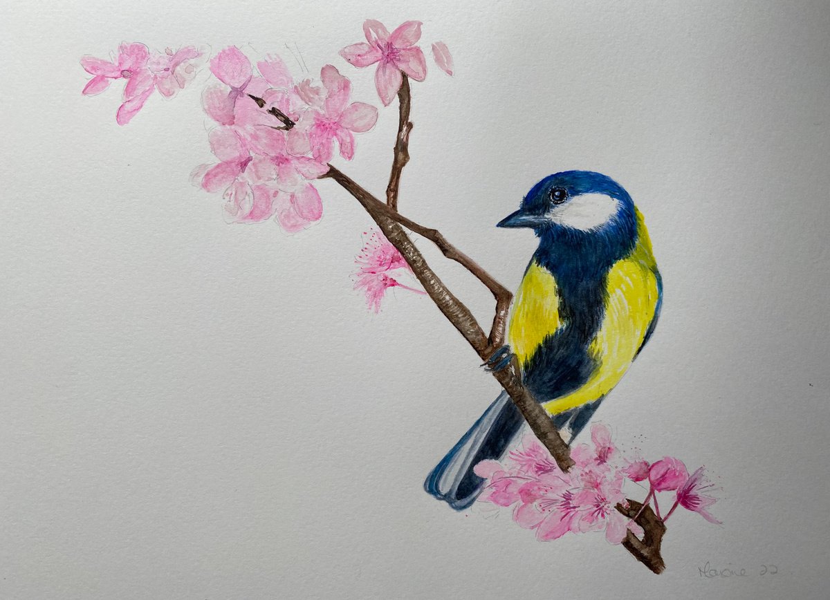 Great tit watercolour painting by Maxine Taylor