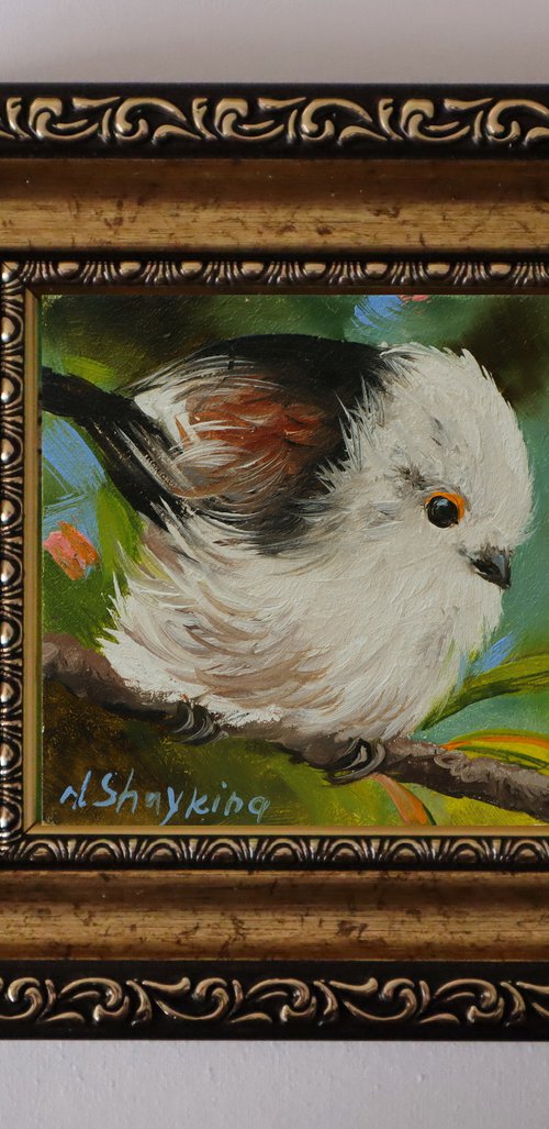 Bird, Silver-throated Bushtit by Natalia Shaykina