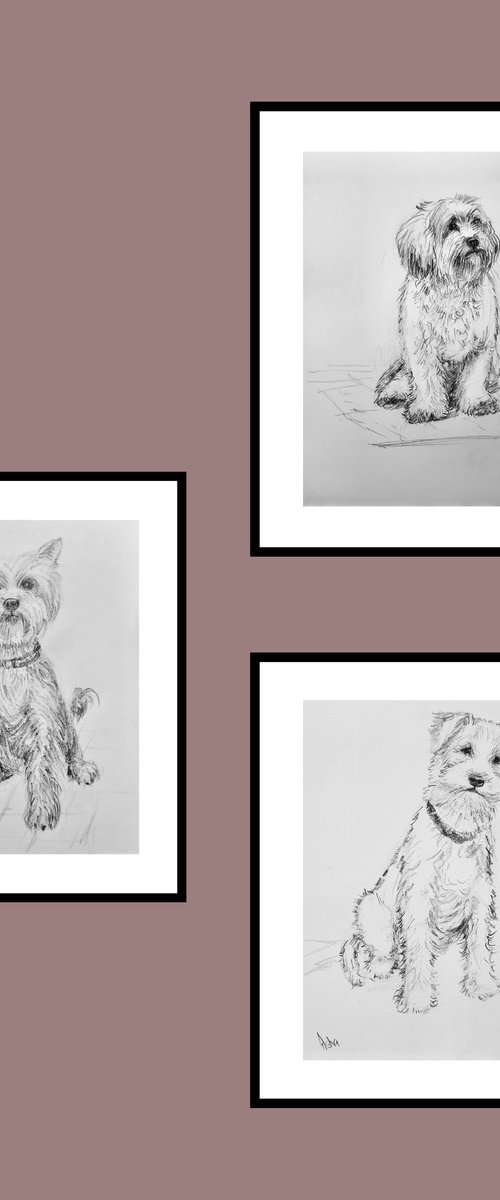 Set of three cute dogs by Asha Shenoy