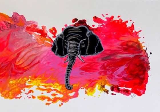 Elephant 3 pink