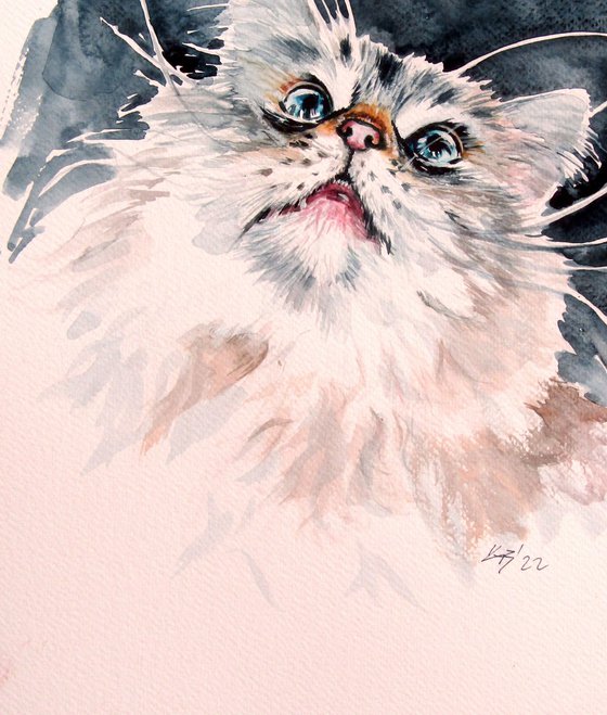 Cute cat portrait