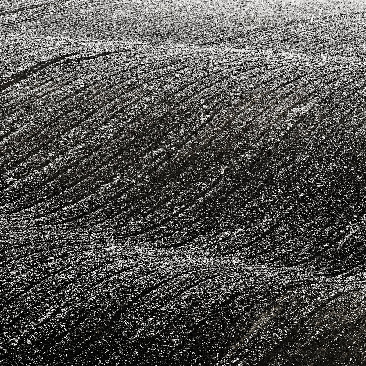 Organic Landscape Photograph By Peter Zelei, 31 X 31", Telluric Waves Ii., Original Artwork