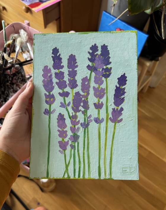 Lavender
