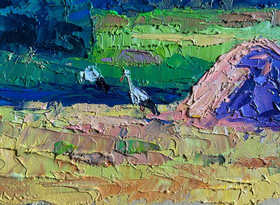 The Storks have Arrived