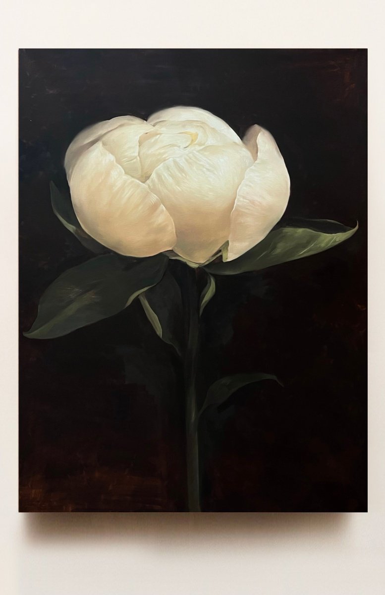 Old Holland Flower 7 By Rosi Roys, 35 X 47, Artwork For Sale On Artfinder