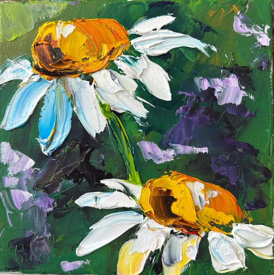 Two daisies