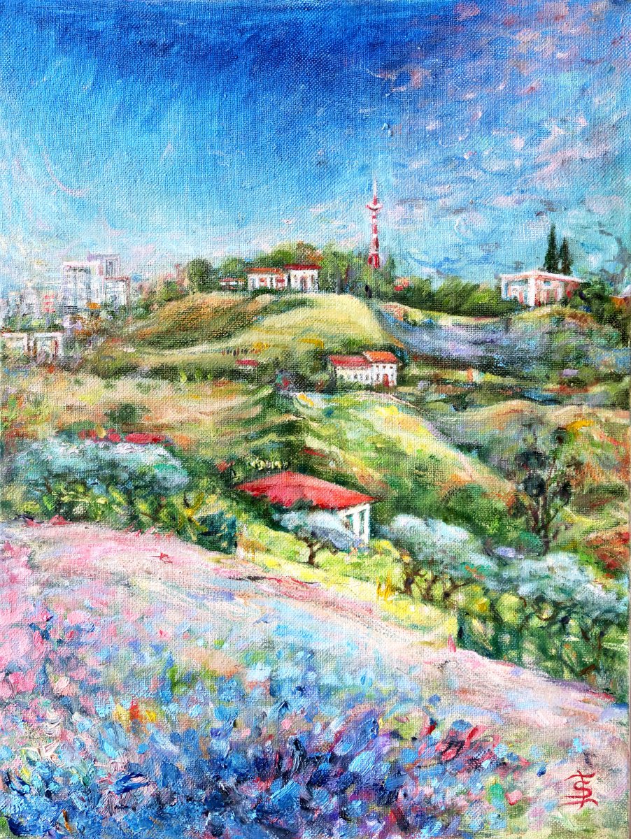 Impressionistic Landscape Oil Painting By Elvira Sesenina, 12 X 16, Tuscan-Emilian Apennines., Original Artwork