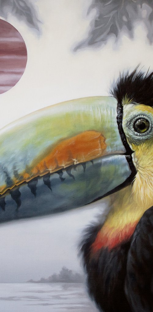 The Color Palette / Toucan by Yuko Montgomery