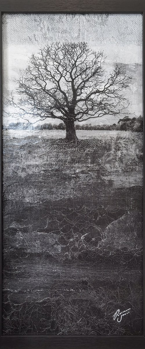 Awakening by Roseanne Jones