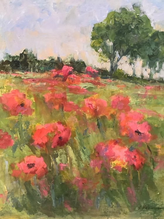 Poppies