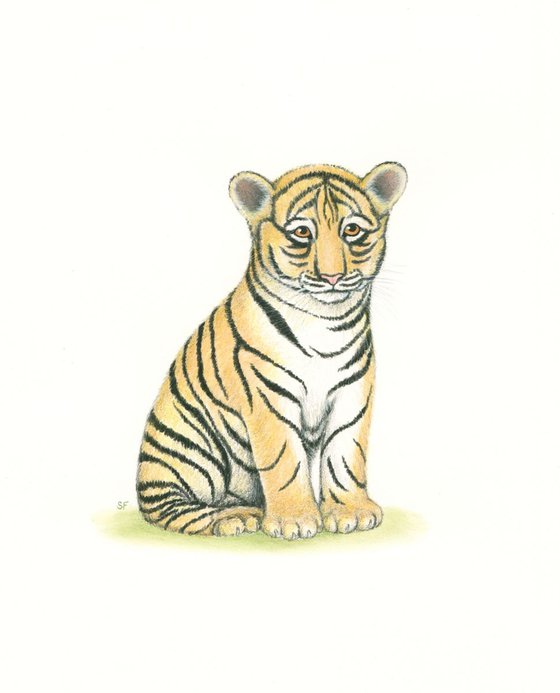 Little Tiger Cub