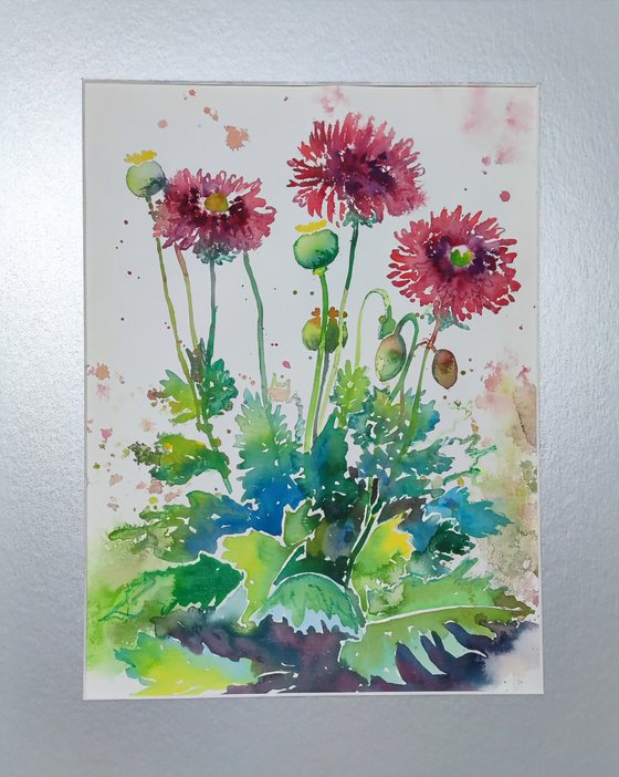 Wild Poppies Watercolor