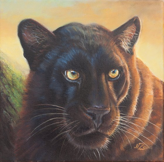 Black panther portrait