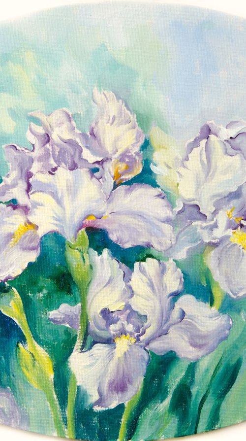 Light blue Irises by Daria Galinski