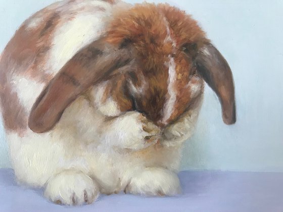 Bunny Oil Painting