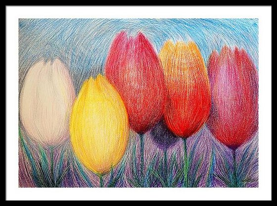 Tulips White 2