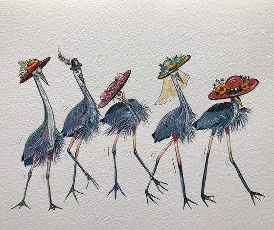 Herons in hats