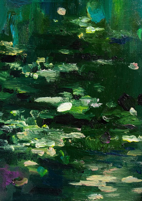 Lily pond. Summer