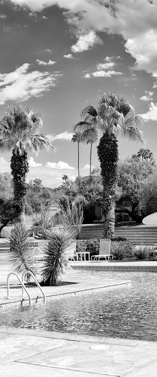 THE SANDPIPER POOL NOIR Palm Desert CA by William Dey