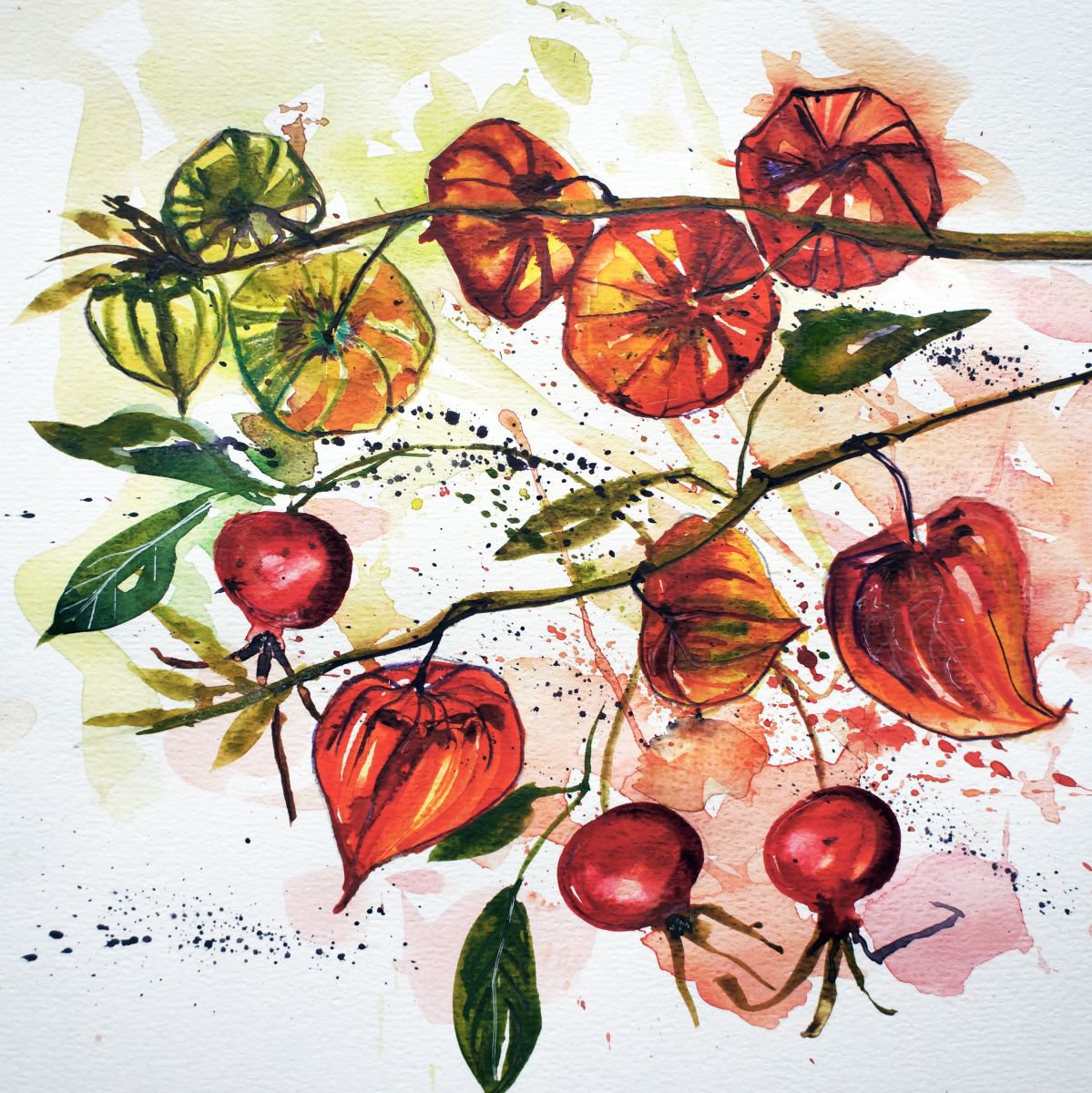Chinese Lanterns - Physalis (with rose hips) by Julia Rigby