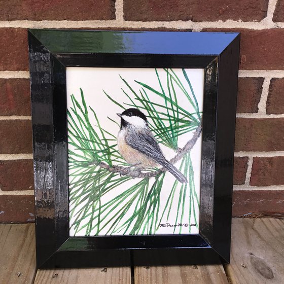 WHITE PINE CHICKADEE 10X8 Acrylic (SOLD)