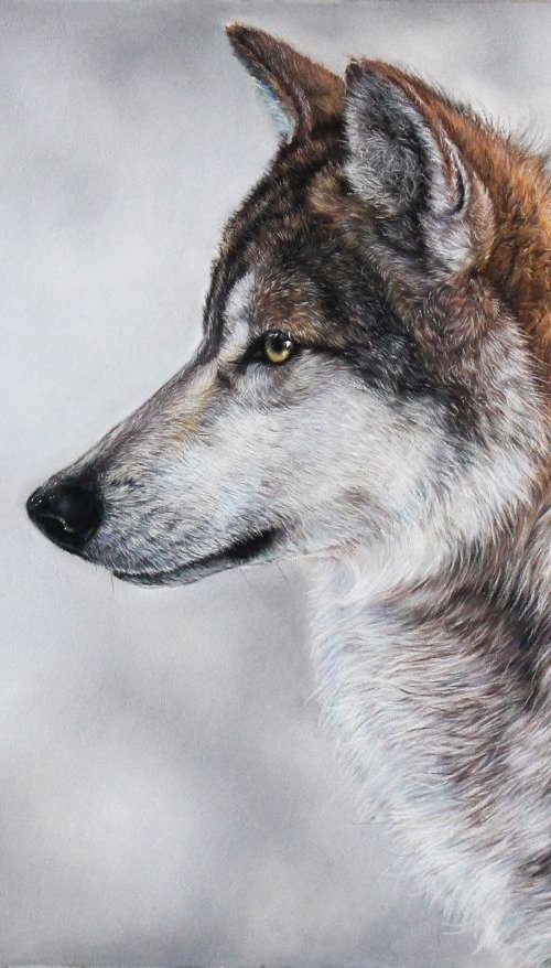 Wolf by Tatjana Bril