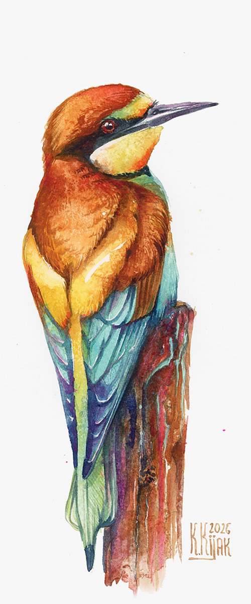 Bee-eater by Karolina Kijak