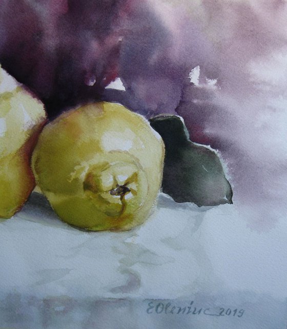 Quinces, autumn fruits - still life, 38x27 cm