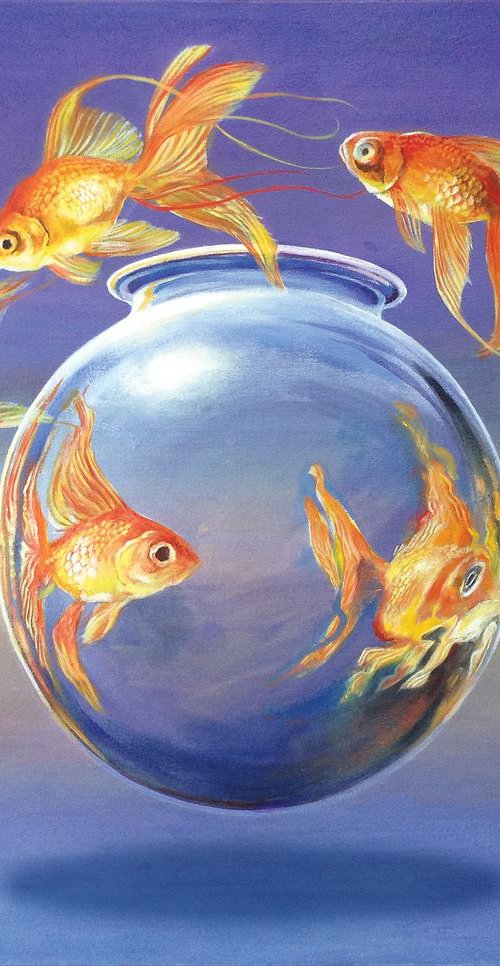 Goldfish XIV by Daniel Loveday