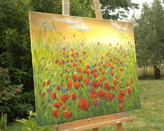 Sunset at the poppy field