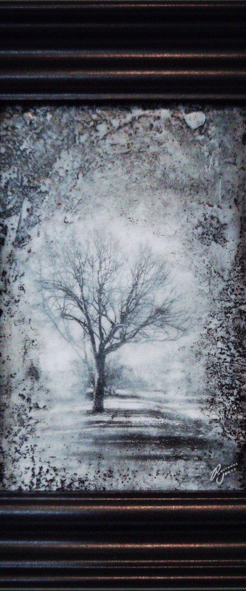 Framed Tree View by Roseanne Jones