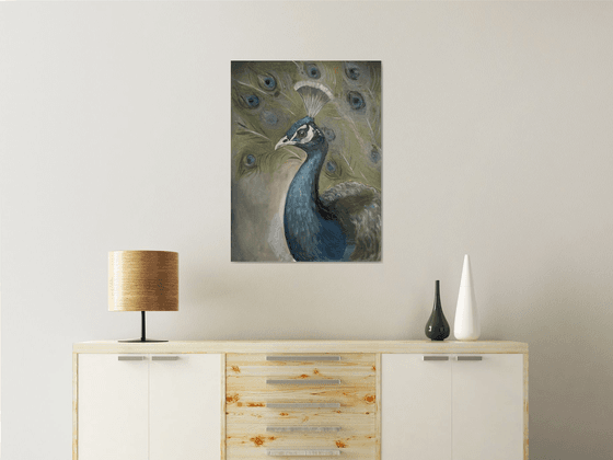 Portrait of a Peacock