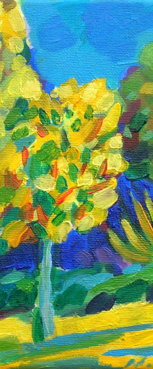 Alexandra Park, Penarth by Maja Grecic