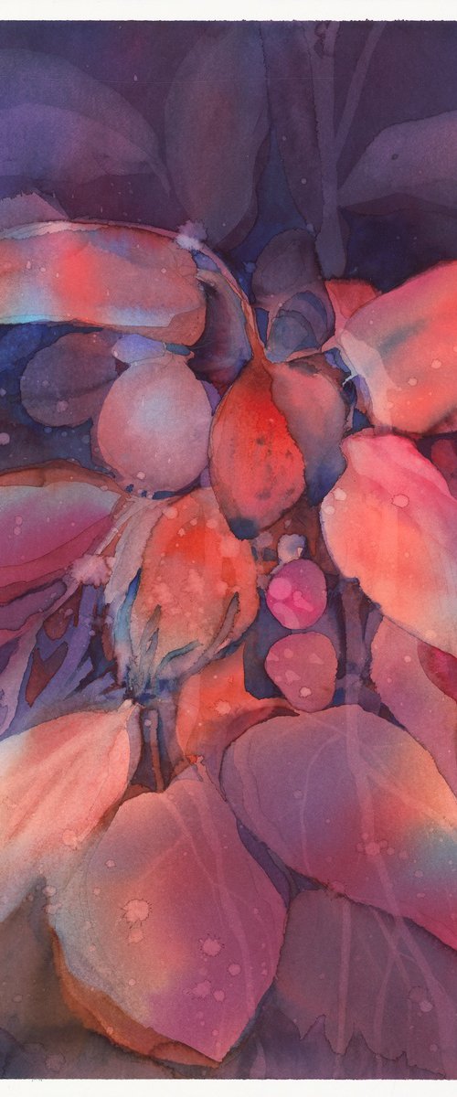Berries by Barbara Székely