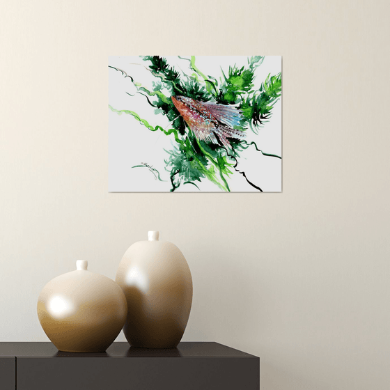 Pearl Gourami fish artwork