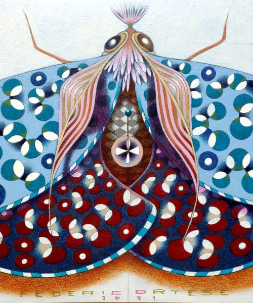 Chromatic butterfly - light blue by Federico Cortese