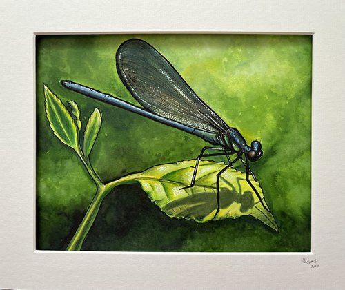 Dragonfly by Karen Elaine  Evans
