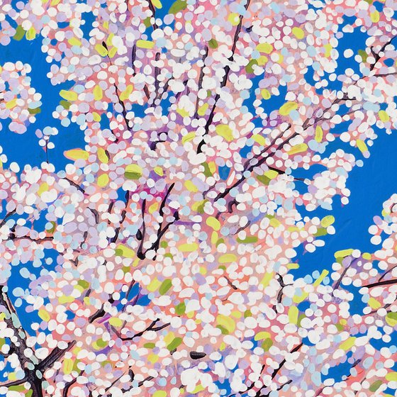 Cherry Blossom #8