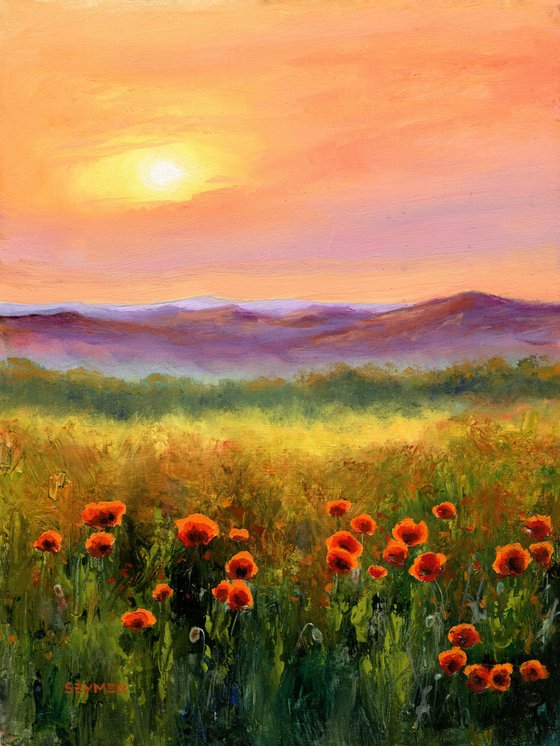 'Sunset poppies'