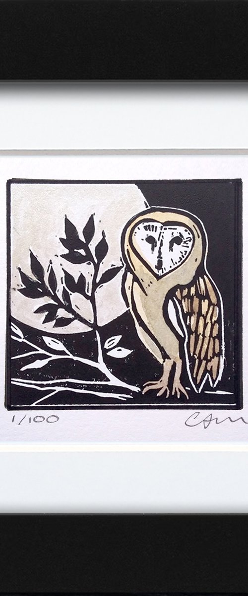 Moonlight barn owl by Carolynne Coulson