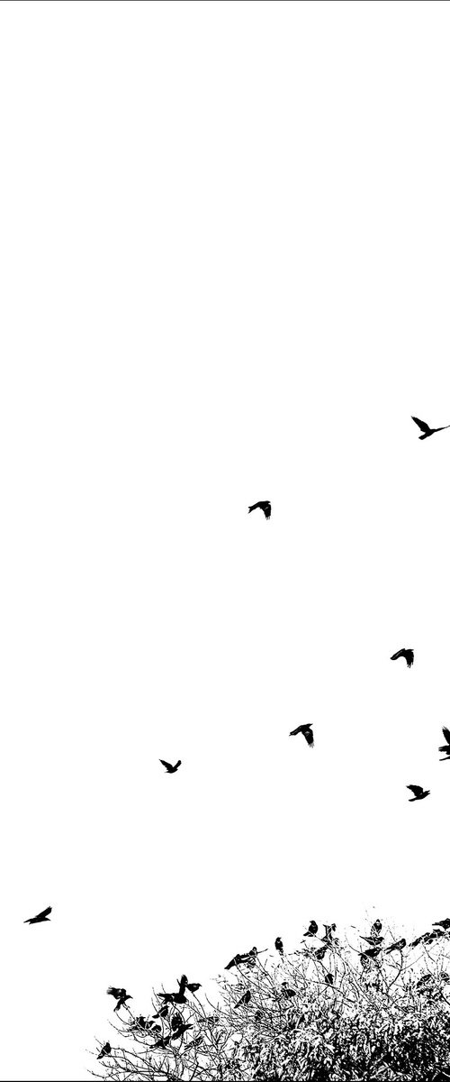Crows Ascending -  16 x 24" by Brooke T Ryan