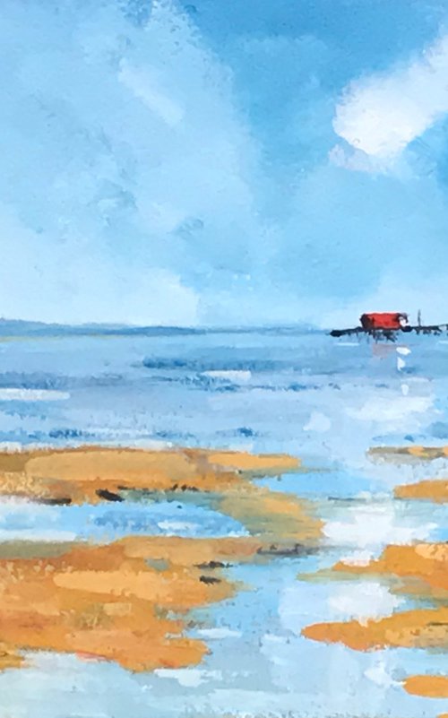 Incoming tide Mumbles by Vicki Washbourne