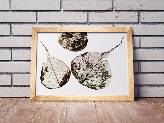 Fallen Leaves #0 | Limited Edition Fine Art Print 1 of 10 | 75 x 50 cm